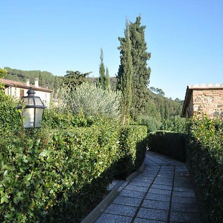Monolocale Con Piscina S.Martino Apartman Riparbella Kültér fotó